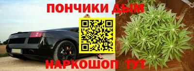 прущие грибы Пенза