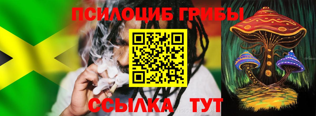 Пыть-Ях  Псилоцибиновые грибы прущие грибы  Вход с VPN 